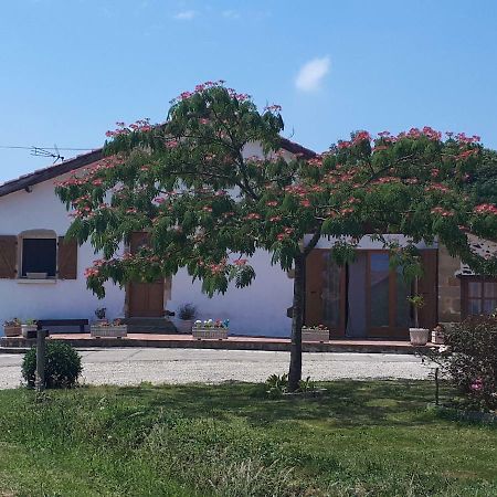 Gite Pouton Saint-Loubouer Экстерьер фото